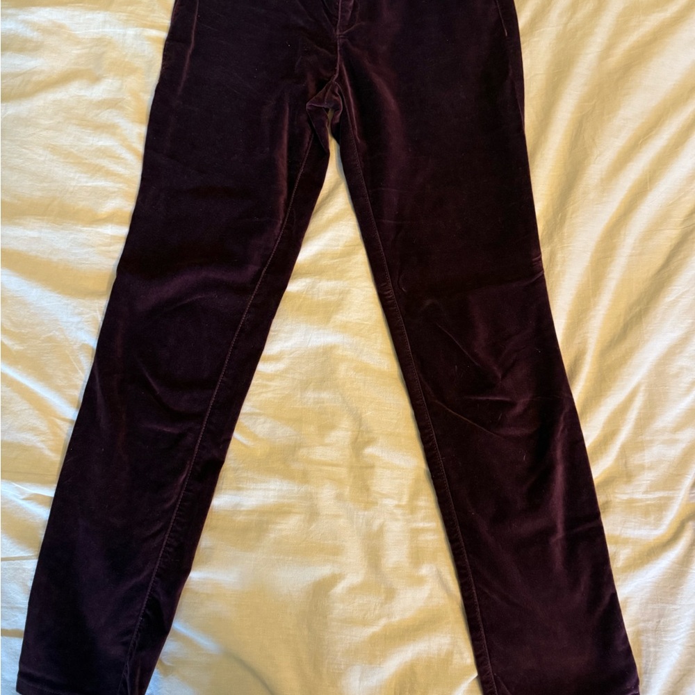 Pilcro Women's Velvet Skinny Pants in Deep Purple